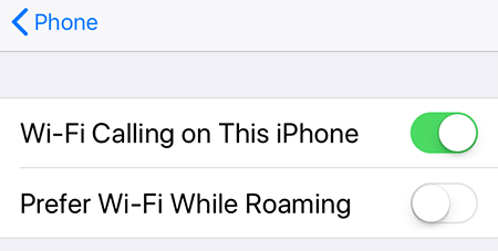 Wi-Fi Calling Option on iPhone